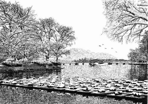 中国明信片文化创意设计大赛 “西湖画匠”张建庭获金奖 中国明信片文化创意设计大赛“西湖画匠”张建庭获金奖